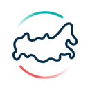 широкий рынок